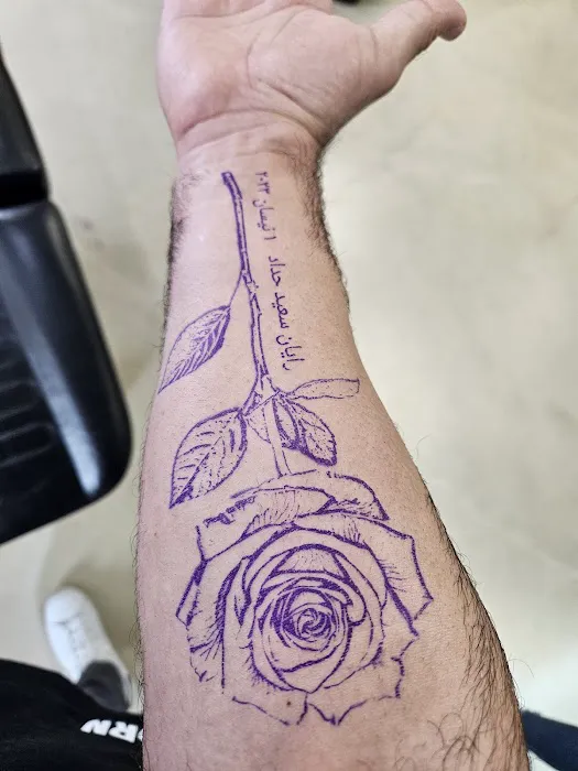 SIX8 Collective 6