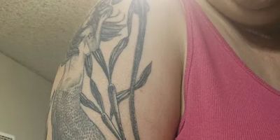 Anarchy tattoo studio ( walk ins welcome )