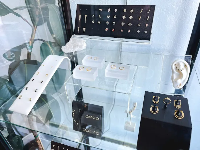 Somatic Body Piercing 2