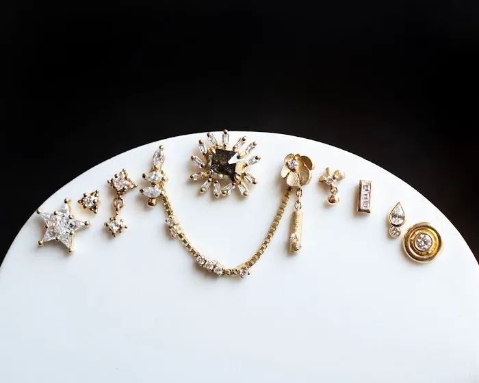 Somatic Body Piercing 4
