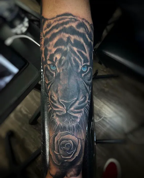Anaheim Ink 4