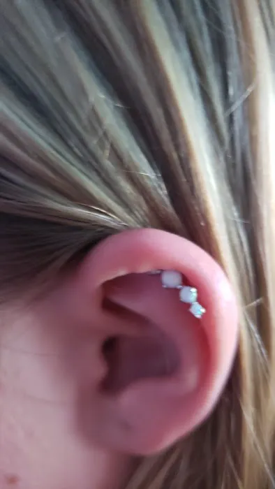 The Piercing Shop 6
