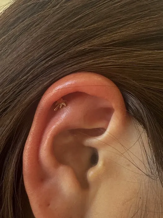 Baron Art Tattoo & Piercing Studio 6