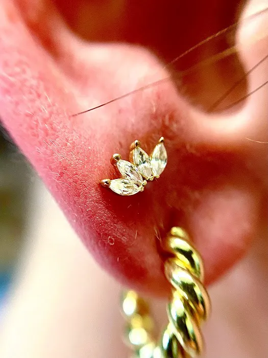 Symbiosis Body Piercing 7