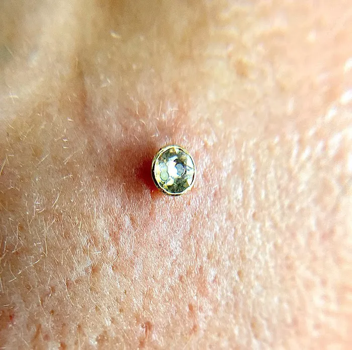 Symbiosis Body Piercing 3