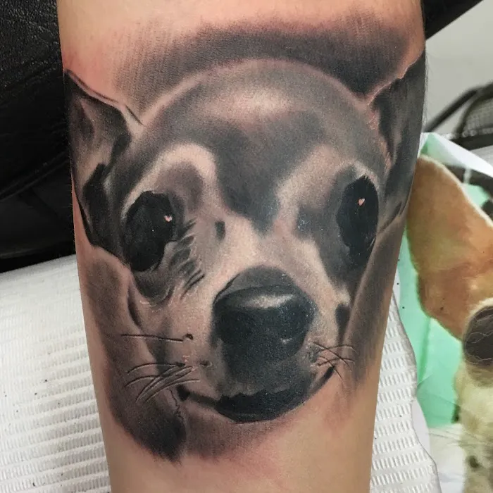 Norwalk Tattoo Studio 6