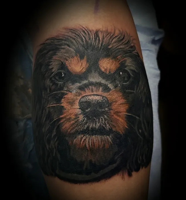 Black Raven Tattoo 5