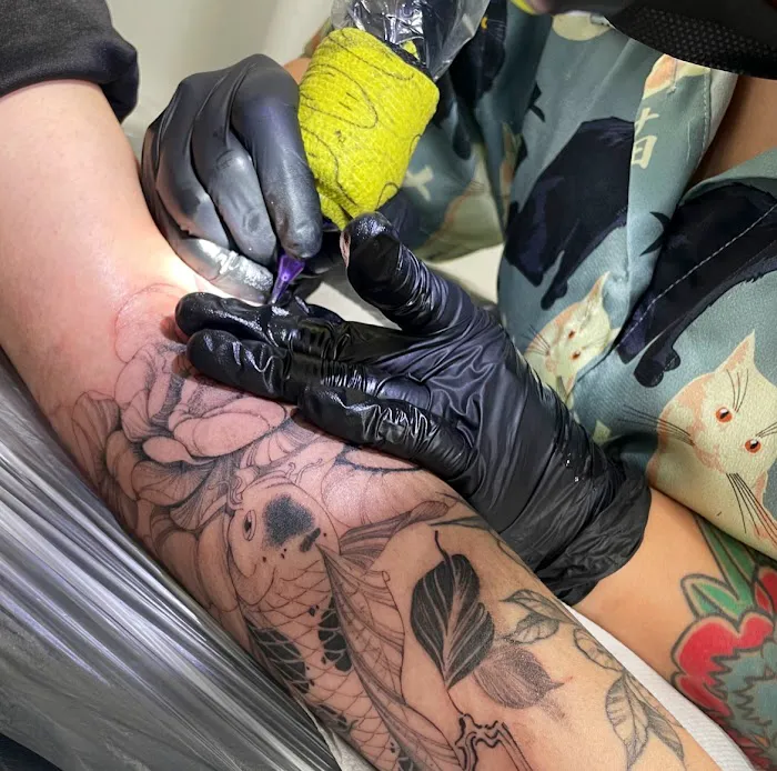 Mateo Studio LA 0