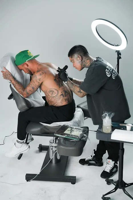 Mad Rabbit Studio 4