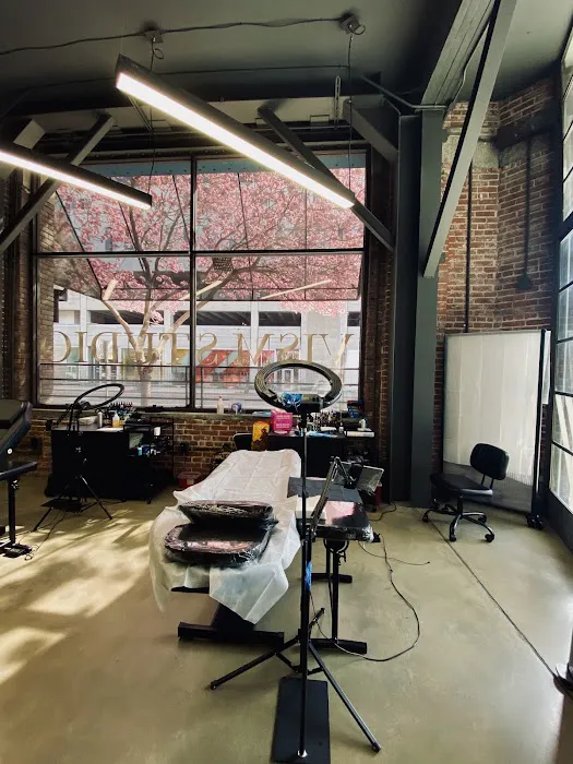 Vism Studio 6