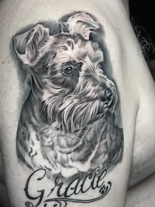 Hollywood Stars Tattoo 0