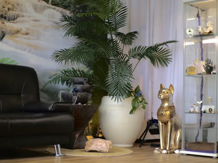 Dom Von Studio 2
