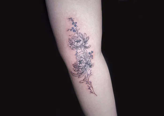 Lab Ink Studio 4