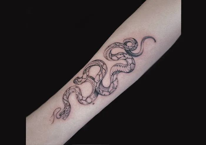 Lab Ink Studio 5