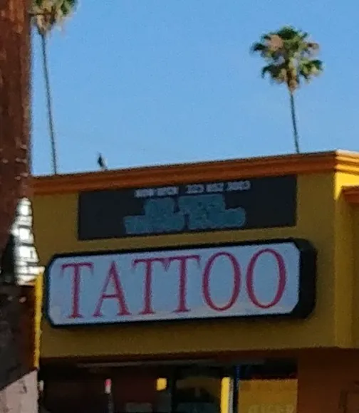 Old Tiger Tattoo Studio 0