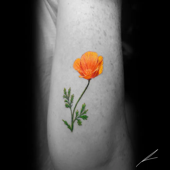 Tattlogic. 7