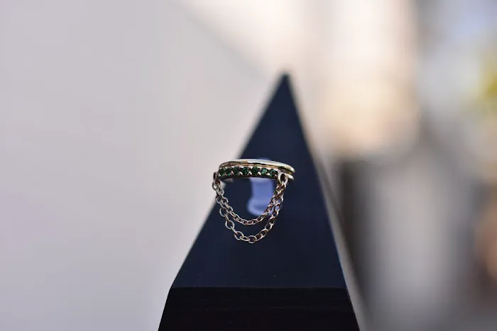Aesthetic Ambition Piercing and Fine Jewelry 2