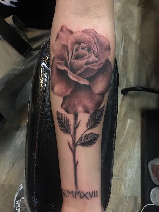 Noho Ink 4