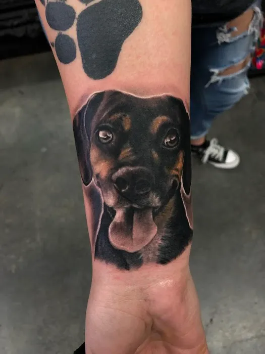 Noho Ink 2