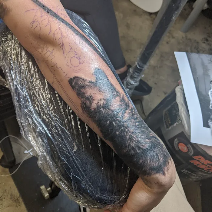 Tiger Eye Tattoo Studio 0