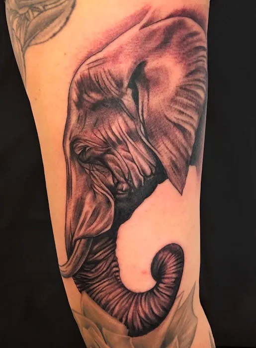 The golden egg tattoo studio 9