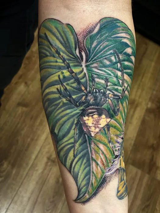 Tattoo House Studios 3