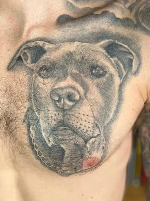 Showtime Tattoo Gallery 7