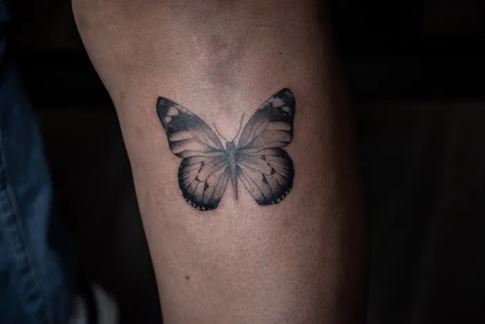 Little Shop Of Ink 0