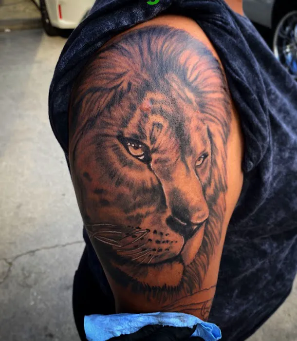 Ink kings tattoo studio 4