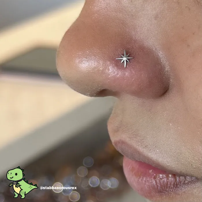 Stabby Abbey Piercings 2