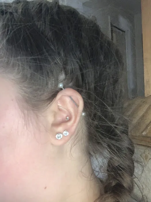 Bee Modified Piercings 0