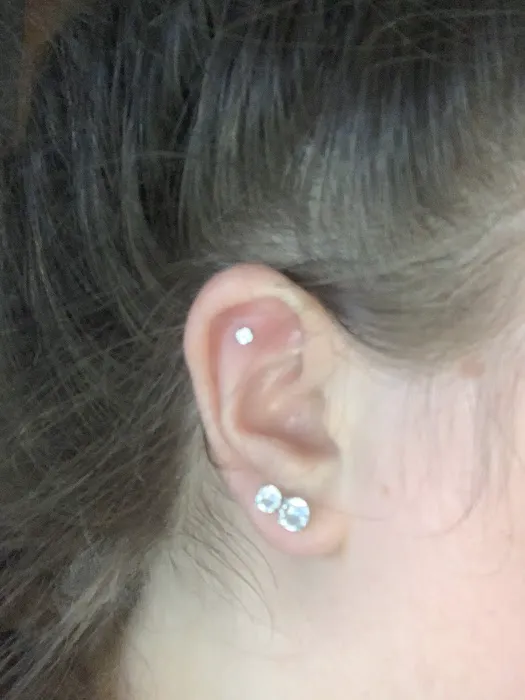 Bee Modified Piercings 1