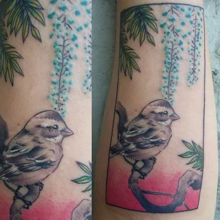 New Rose Tattoo LLC 6
