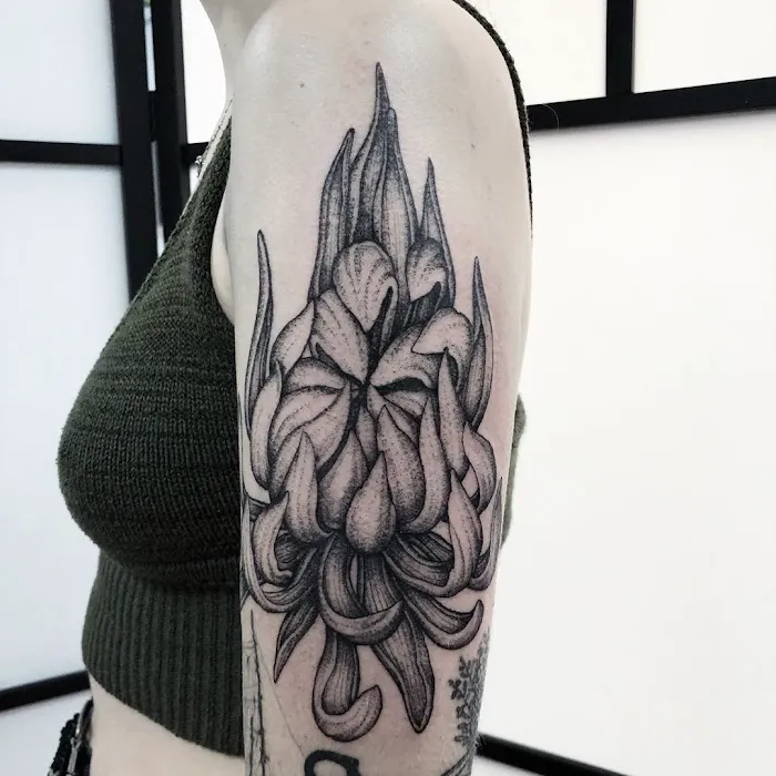 Point of View Studio Of Tattooing 4