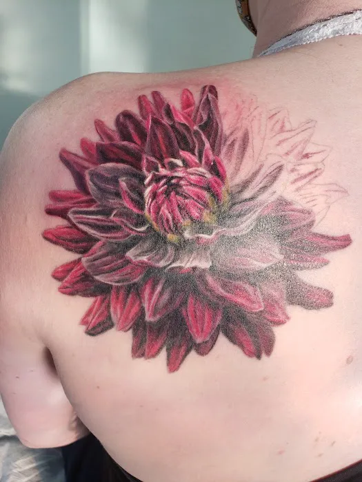Aardvark Tattoo Company 3