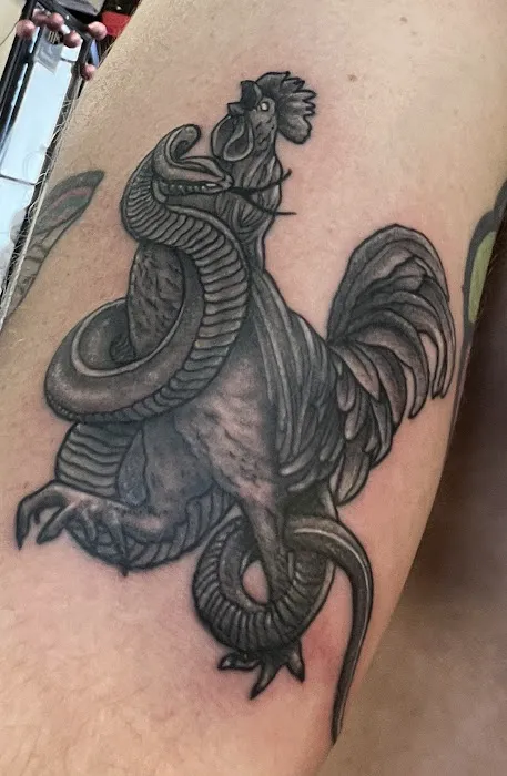 Medusa Slays 7
