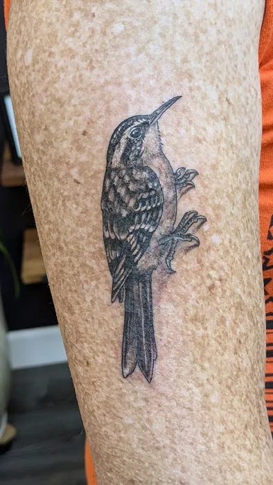 Bloodroot Tattoo 0