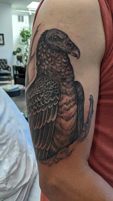 Bloodroot Tattoo 7