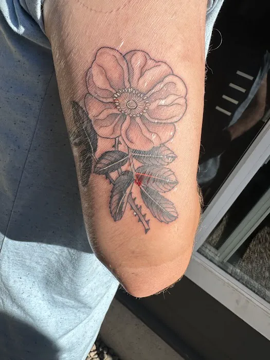 Wonderland Tattoos 7
