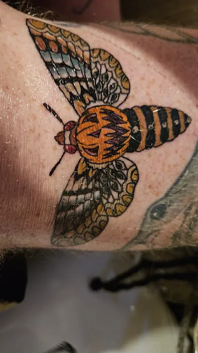 Albatross Tattoo 8