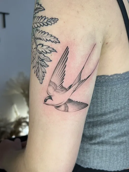 Midnight Tattoo 6