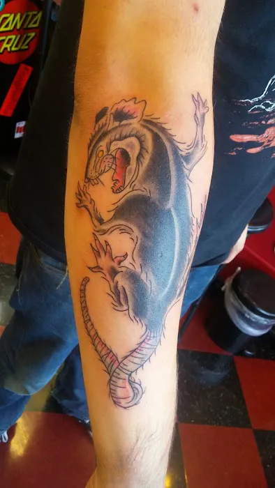 Nova Tattoo Studio 4