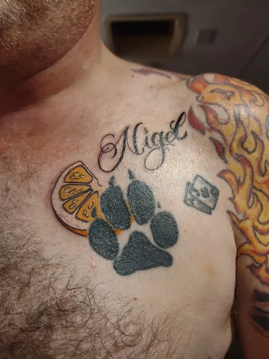 Pussycat Tattoo 1