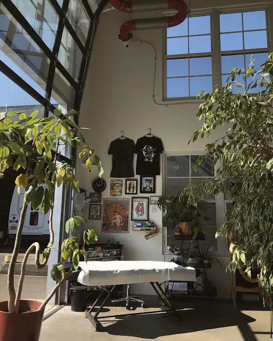 Summerland Studios 0