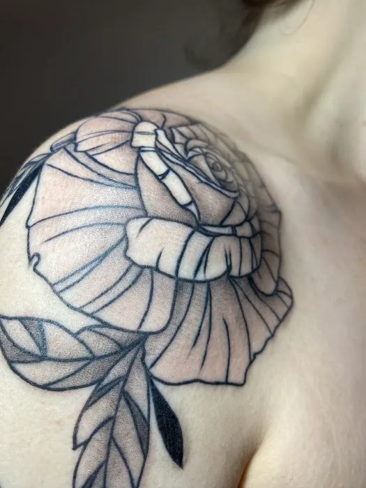 TAT STU LLC 8