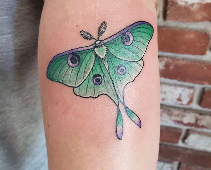 Roots Deep Tattoo 2