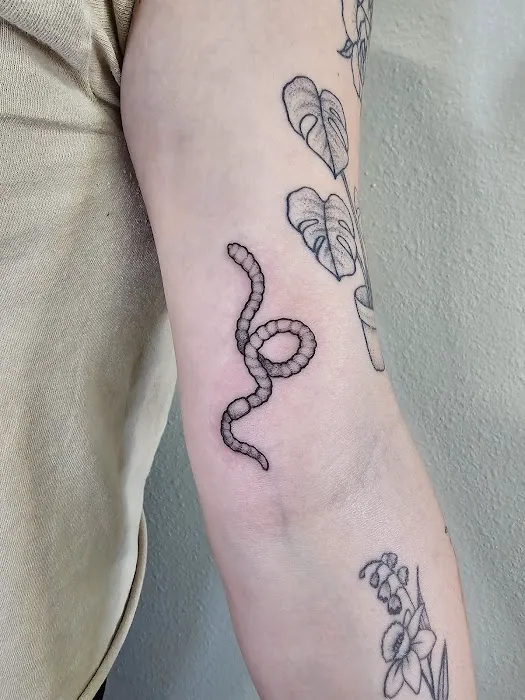 Sundew Tattoo 6