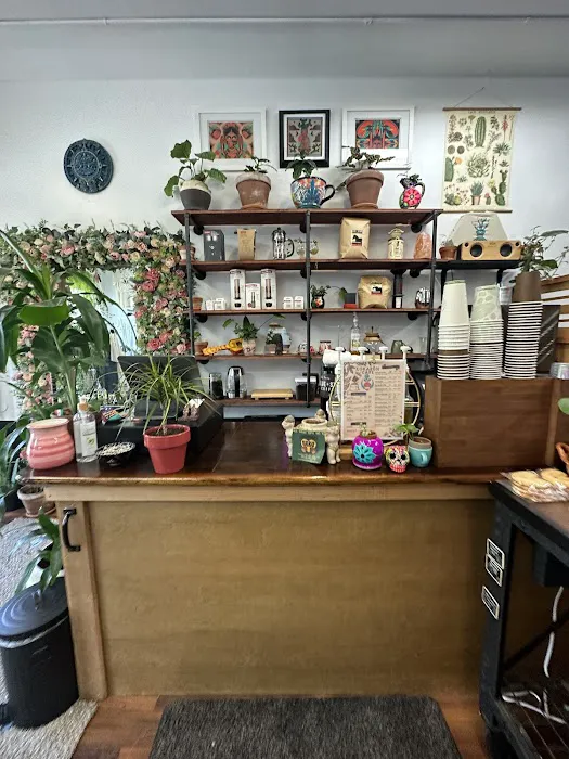Korazón Collective 4