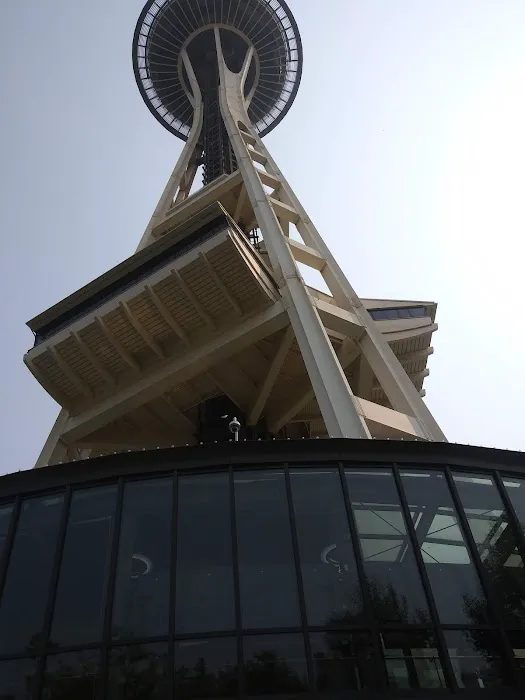 Under the Needle 8