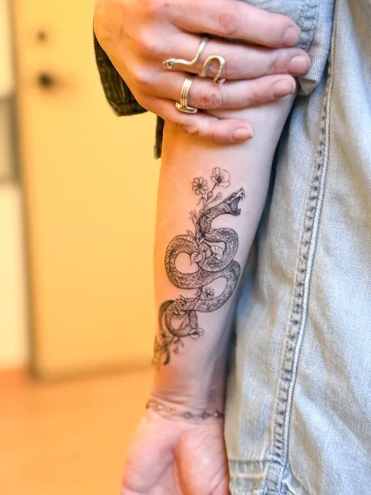 Harper Zimmer Ink 5